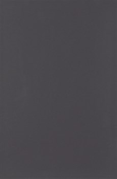 Плитка Minimal Negro DS73 25*38 - фото 56870