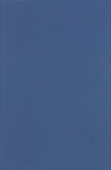 Плитка Minimal Azul DS70 25*38 - фото 56897