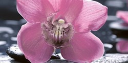 Болеро декор Орхидея черный 10-04-04-162-1 - фото 59430