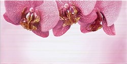 Орхидея розовый декор В (10-04-41-360-2) 25х50 - фото 59754
