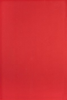MONO Плитка Настенная красная R 27,5x40 - фото 60307