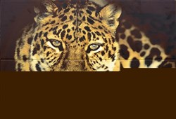Леопард ПН4ЛППГ Панно "Леопард" 72,8х49,8 (из 4-х плиток) - фото 60676