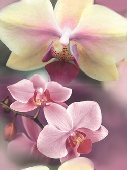 Blossom Панно P2D183 40х30 (из 2-х пл.) - фото 60719