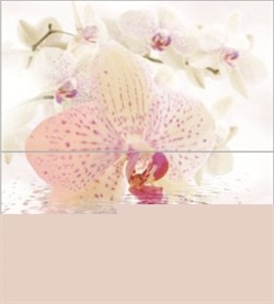 Dec Orchid Panno (панно из 2-х шт) КПН16Orchid 50х45 - фото 62575