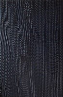 Агама черная Плитка настенная 06-01-04-156 20х30 (Питер) - фото 62776