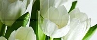 Arco Verde Tulipan Панно (из 4-х пл.) 50x120 - фото 63345