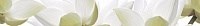 City White Lilies listwa Бордюр 6,5х50 - фото 63715