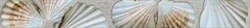 Breeze Бордюр многоцветный (BZ1J141DT) 5x44 - фото 75134