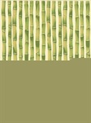 Bambus Inca Zefir A 25х33,3