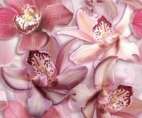 Porto Flowers Orchide lila Панно 50x60 (2пл)