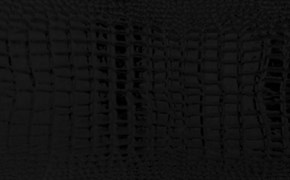 Люкс Плитка настенная черная 31x50