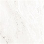 Bianco Carrara 59.6x59.6