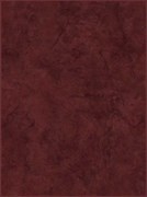 Tokio Плитка настенная коричневая (TKM191R) 25x35