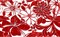 Декор Жаклин красный 250x400 - фото 59587