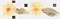 CUBA GERBERA бордюр жёлтый YL 9,6х29,5 - фото 60221