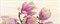 Sensa magnolia bis Декор 25x60 - фото 64083